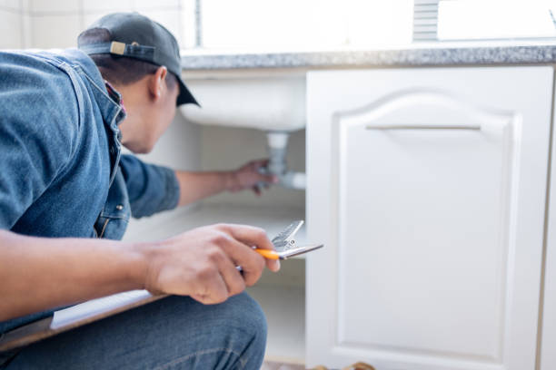 Best Sewer Line Repair  in Cortland West, NY