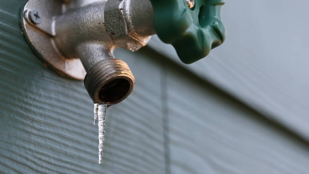 Best Local Plumber Services  in Cortland West, NY